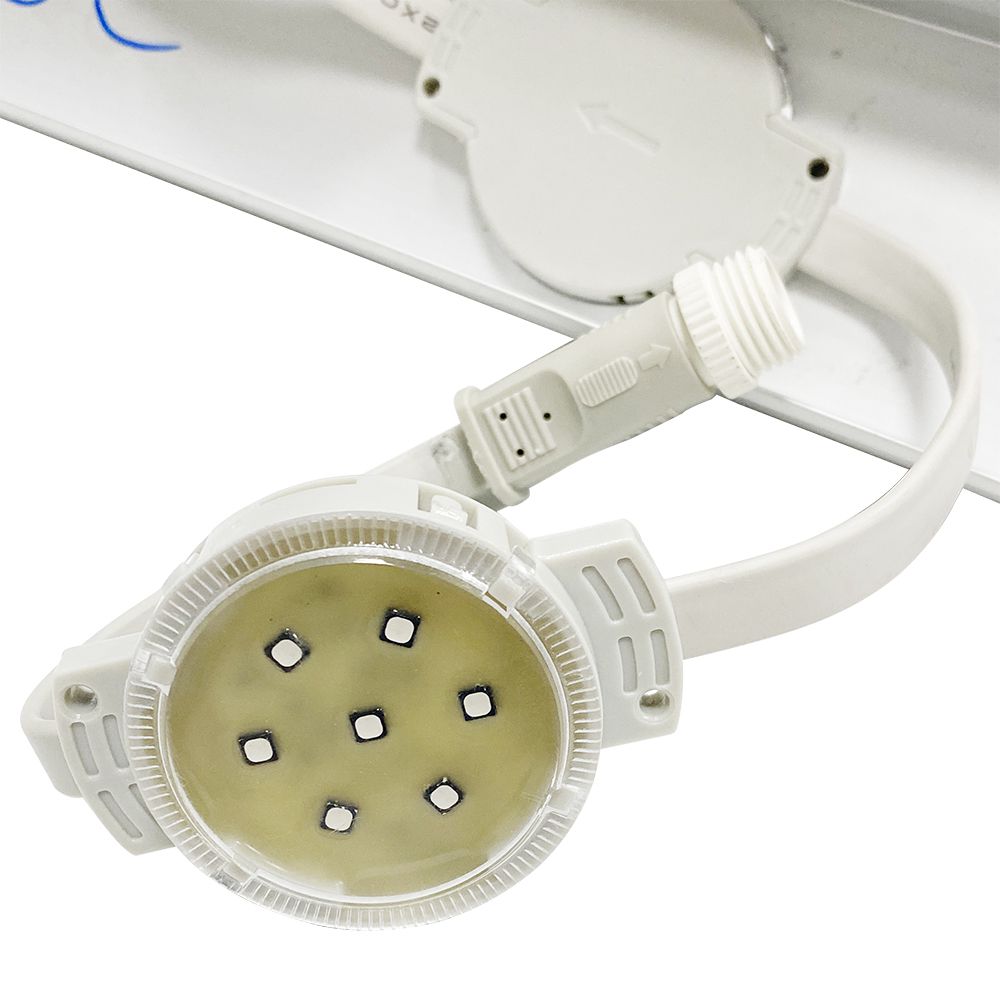 拉斯维加斯9888(中国游)官方网站